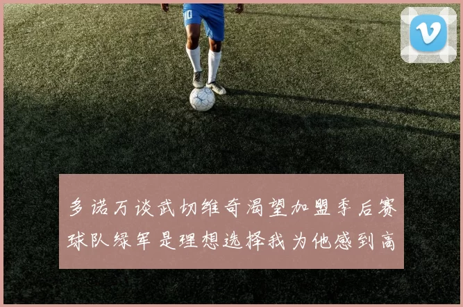 多诺万谈武切维奇渴望加盟季后赛球队绿军是理想选择我为他感到高兴