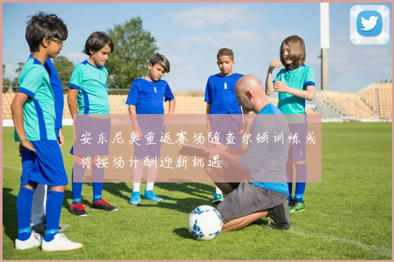安东尼奥重返赛场随查尔顿训练或将按场计酬迎新机遇